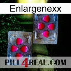 Enlargenexx 15